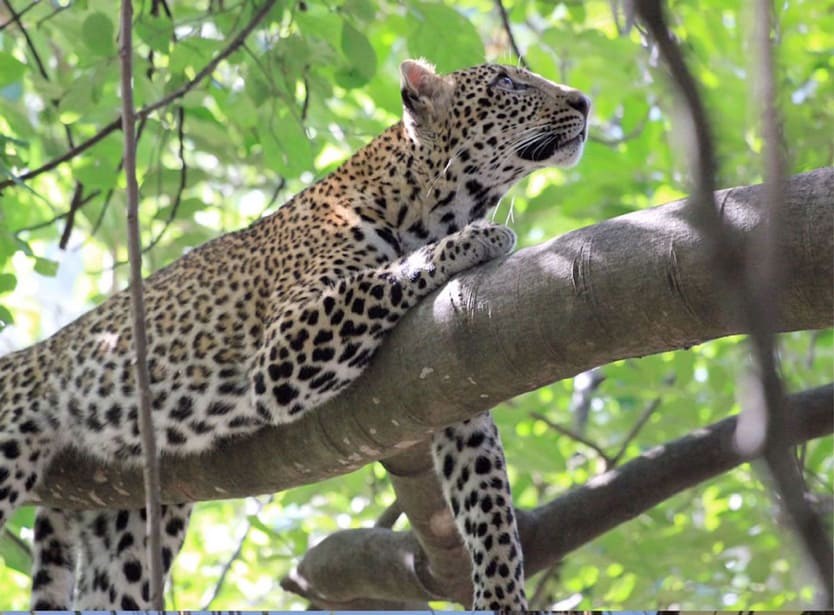 One Planet Café｜ワンプラネットカフェ