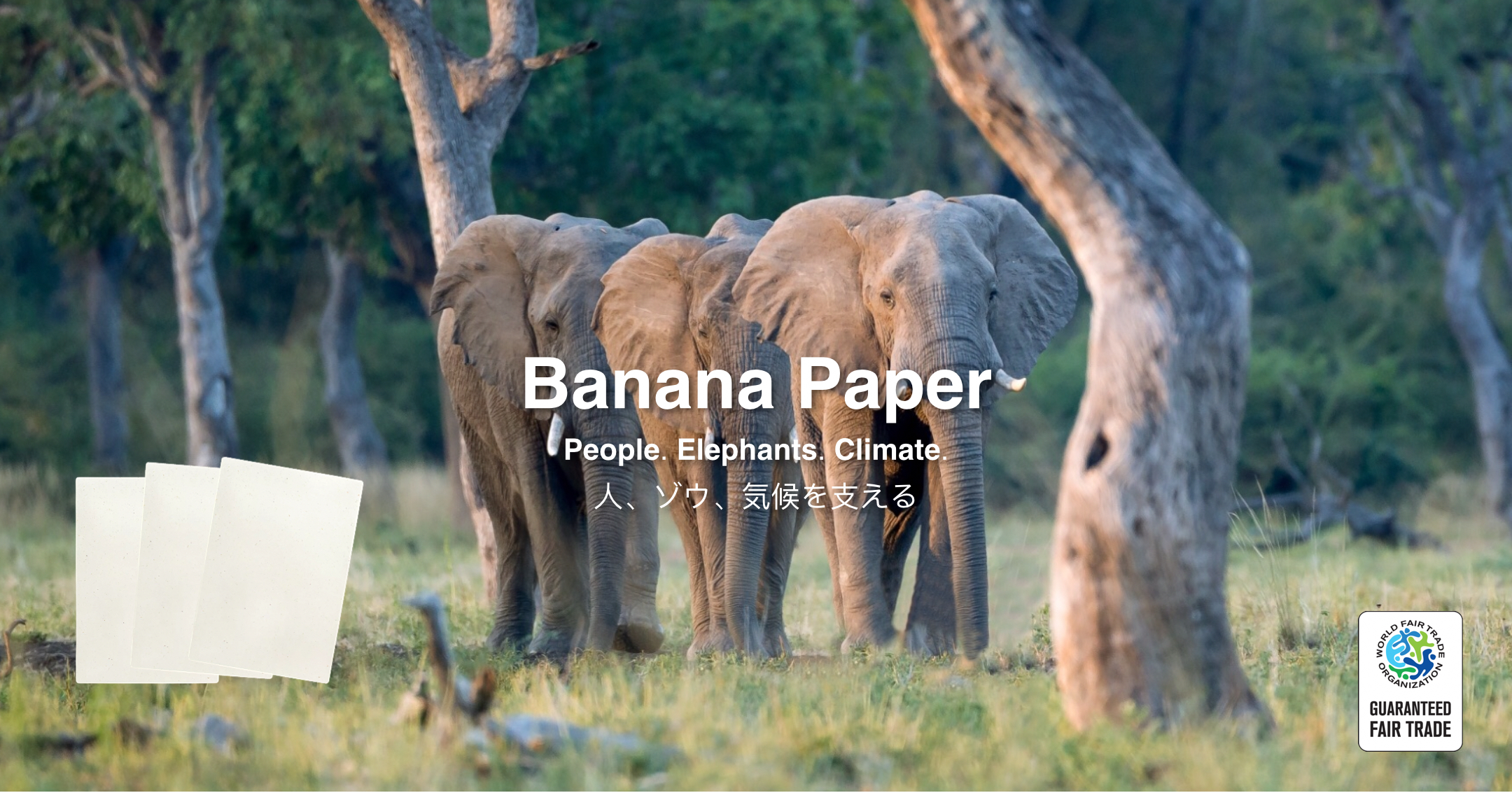 One Planet Café | Banana Paper